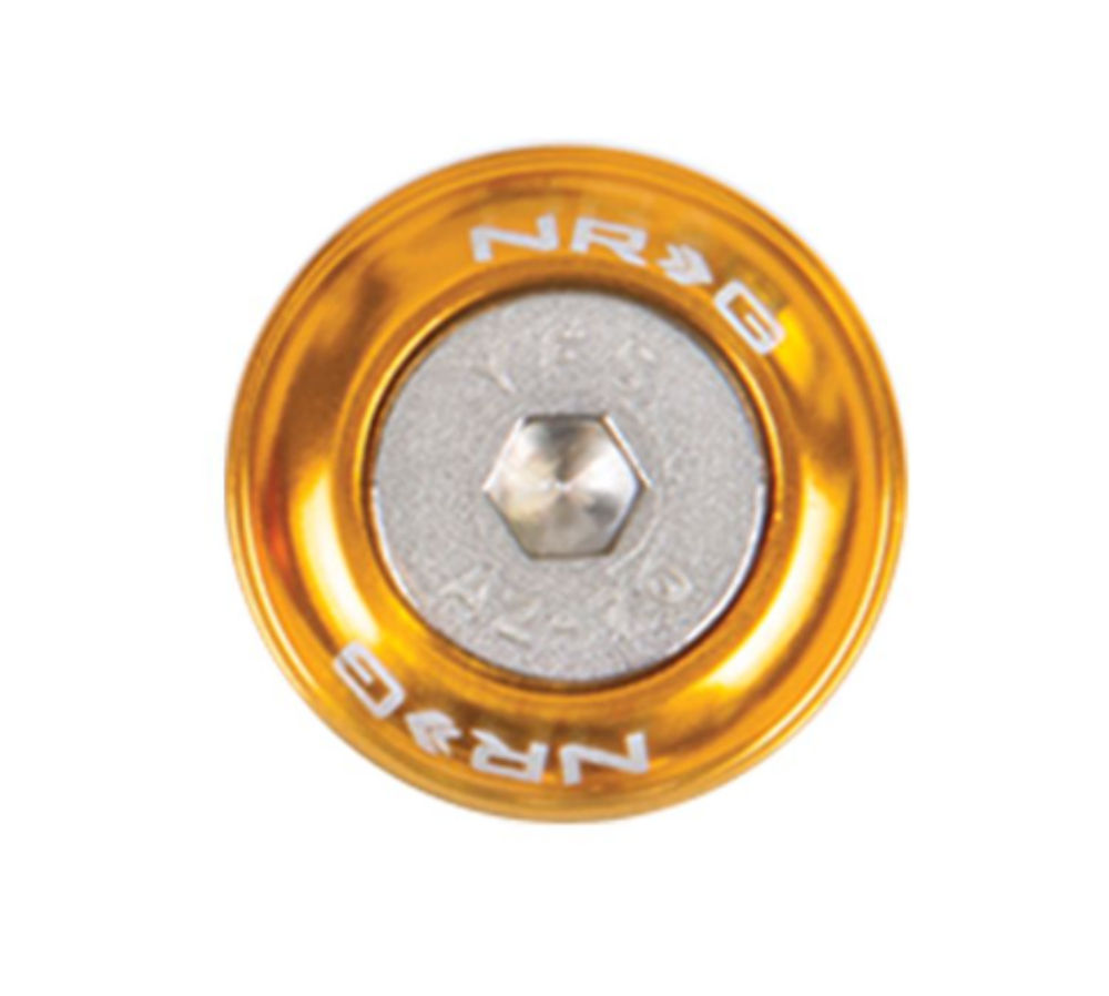 Fender Washer Kit, Set of 10, Rose Gold, Rivets for Metal
